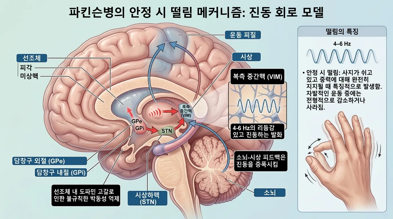 안정 떨림 기전 — 진동 회로 모델